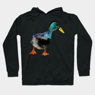 Watercolor duck Hoodie